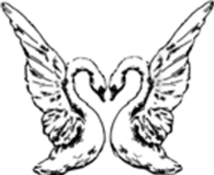 header-section2